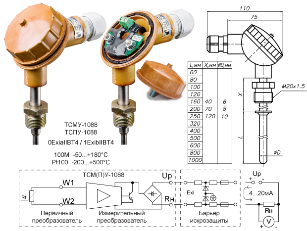 Fig_Structure_Foto_TSMU-1088Ex.png